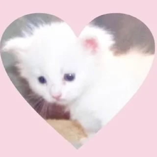 ❤️