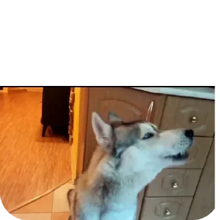 👍