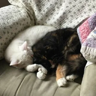 🥰