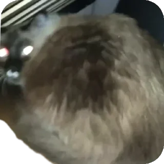 😱