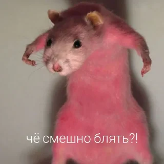🥴