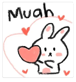🐰