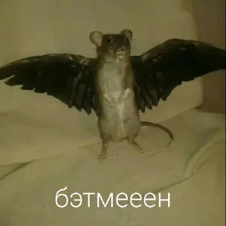 🤠