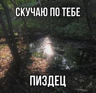 🧂
