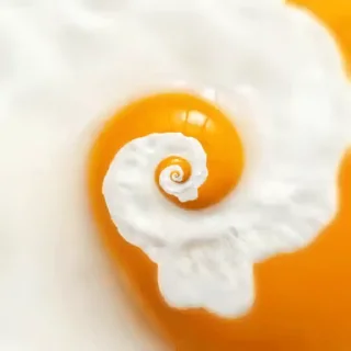 🍳