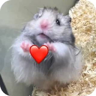 ❤