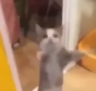 🥳