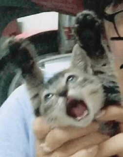 😨