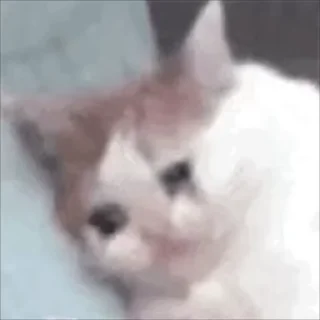 🥺