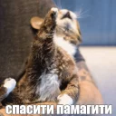 😫