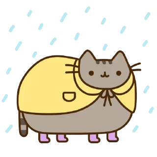 🌧