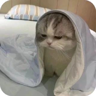 😢