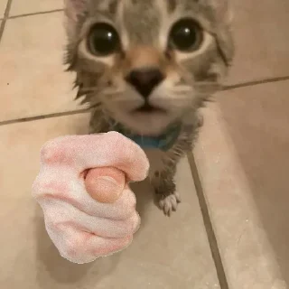 🥺
