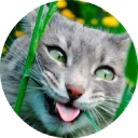 😛