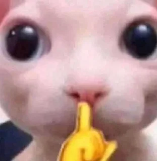 🤫