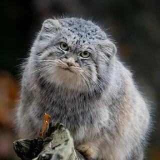 😐