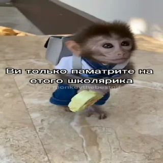 🐵