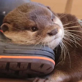 🙂