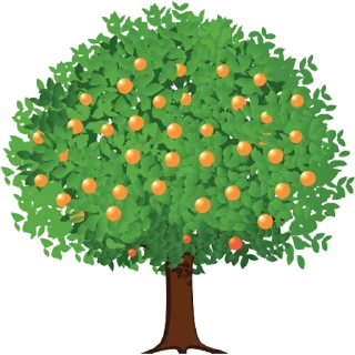 Trees @PunjabiSticker