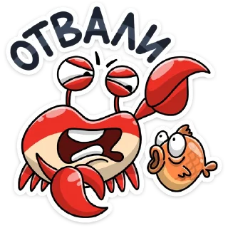 🐠