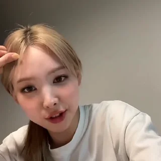 🐰