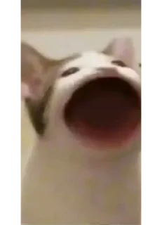 😮