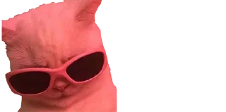 😎