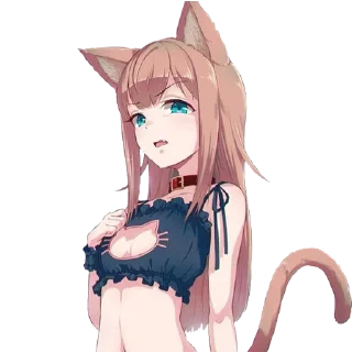 😺