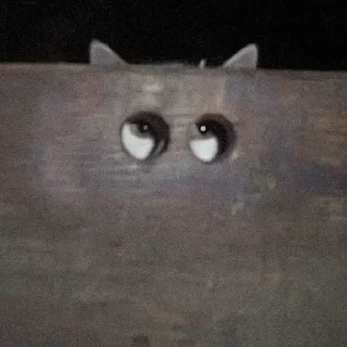 👀