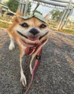 😃