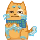 🥶