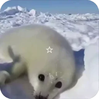 🥰