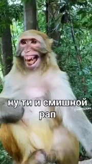 😂