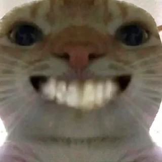 😁