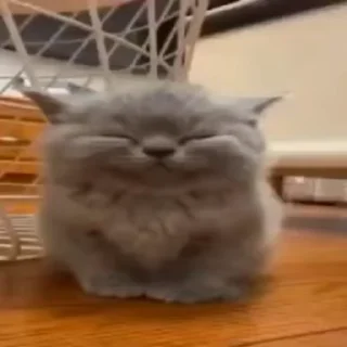 😌