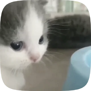 🥺