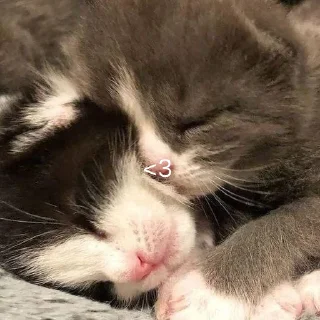 ❤️