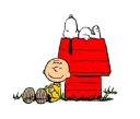 💤