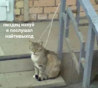 😕