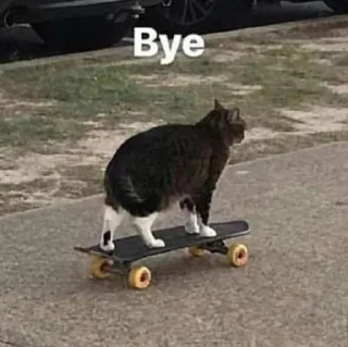 ✋