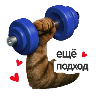 💪