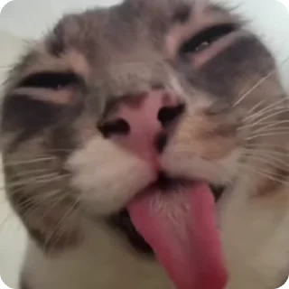 👅