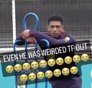 🤍