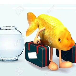 😐