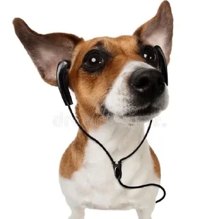 🎧