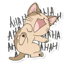 Meowcat