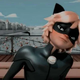 😼