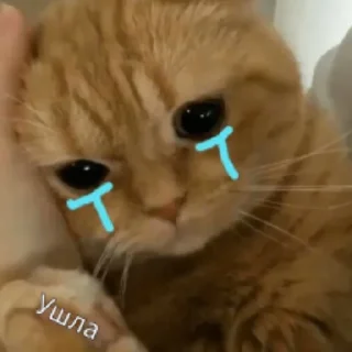 😢