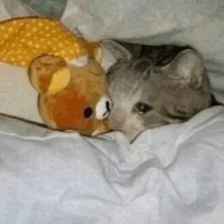 🥺