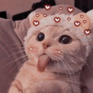 👅
